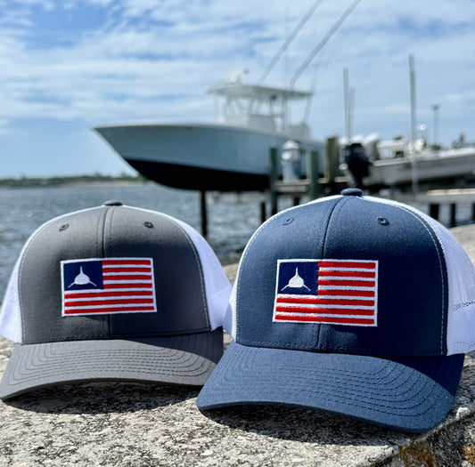 Sharks & Stripes Hat Gray/Navy