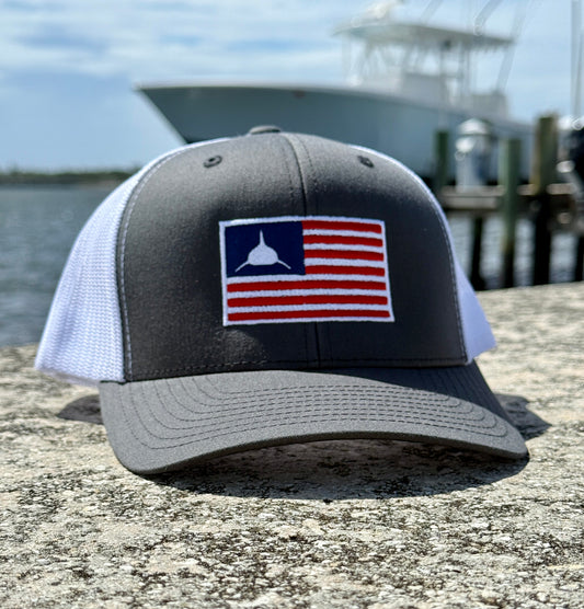 Sharks & Stripes Hat Gray/Navy