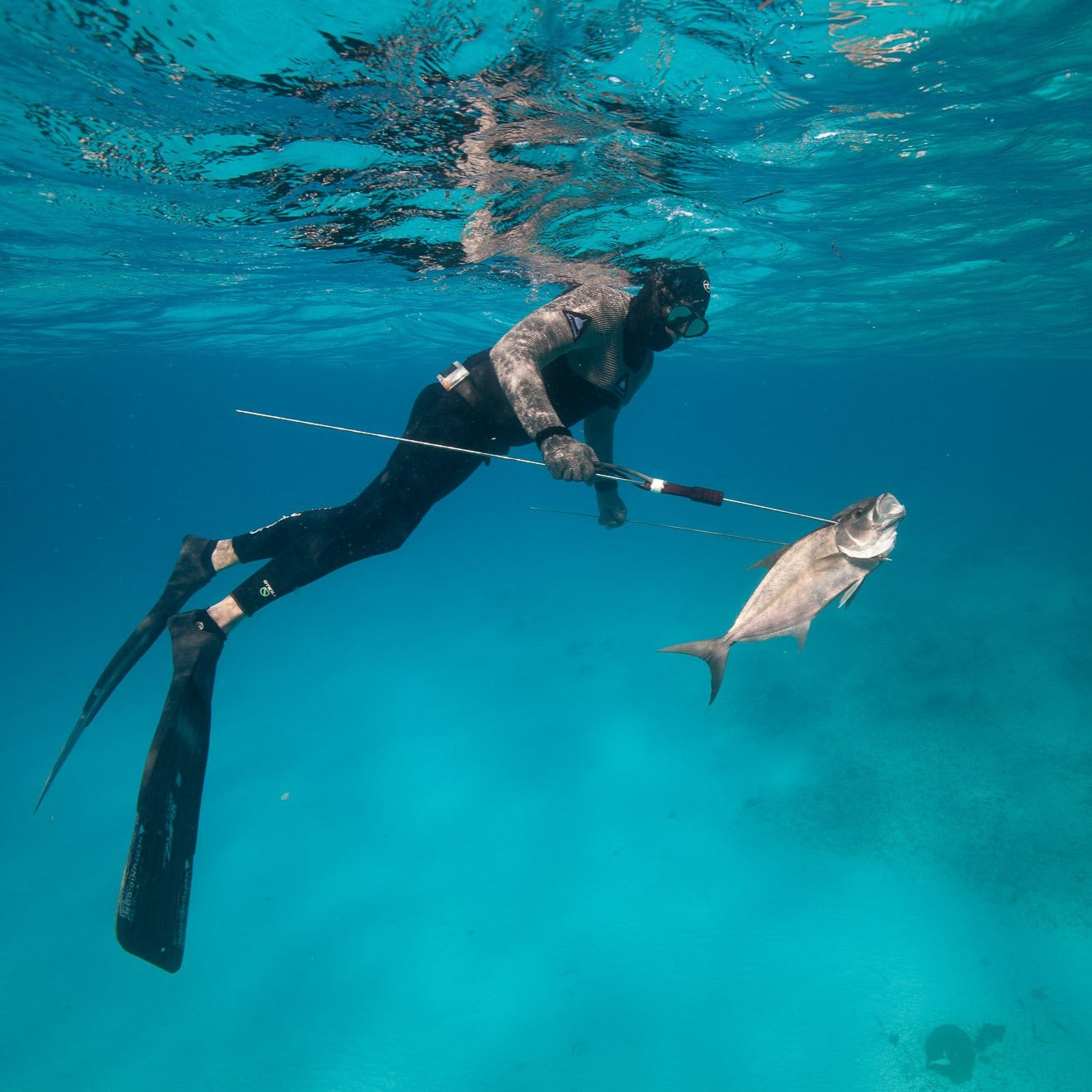 Spearfishing Shark Wetsuit two piece freediving wetsuits professional